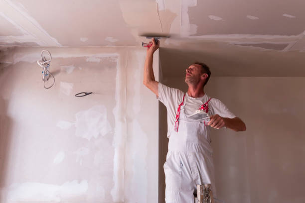 Best Drywall Crack Repair  in USA